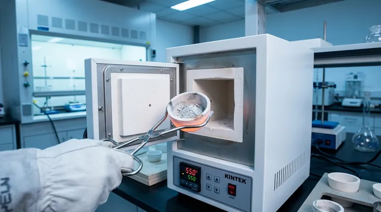 Purificación de muestras biológicas en el atelier