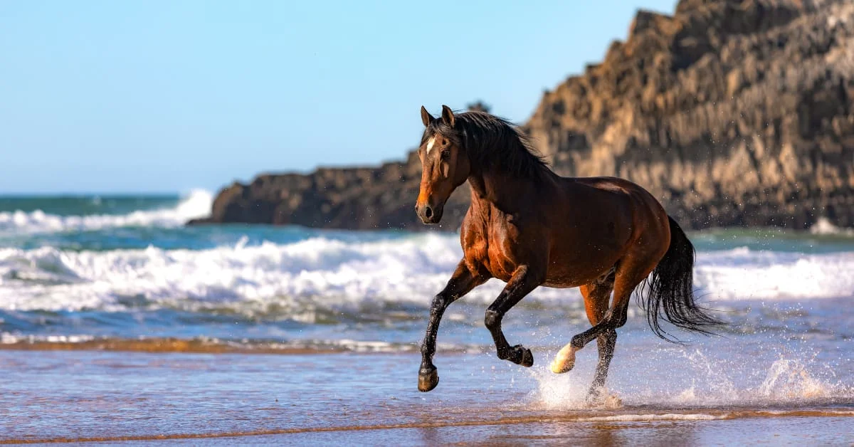 Relicarios con pelo de caballo